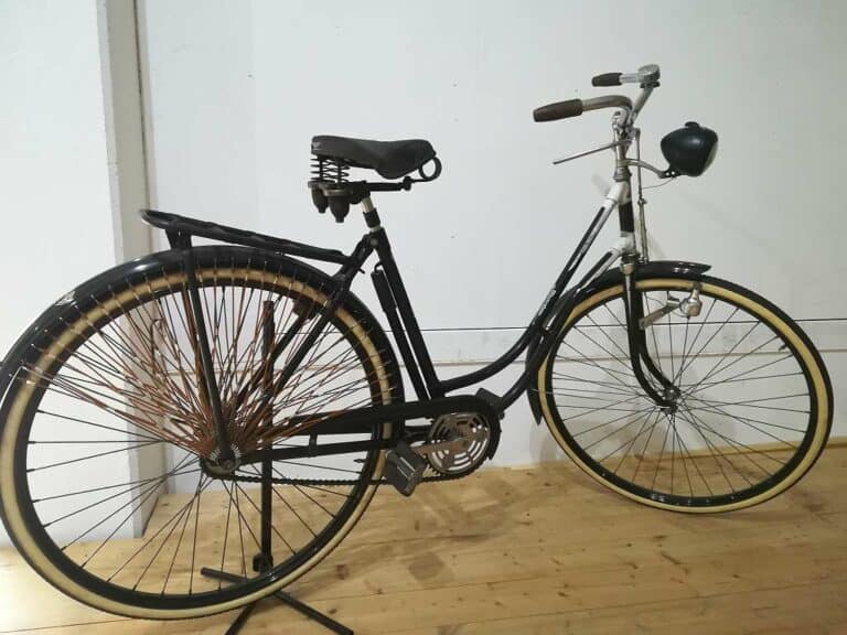 Waffenrad Steyr "100 Jahre" edition