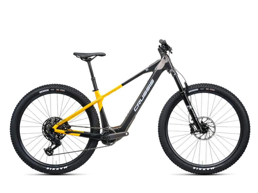 Crissus Elektro-Mountainbike 29" e-Hard 11.11 800Wh