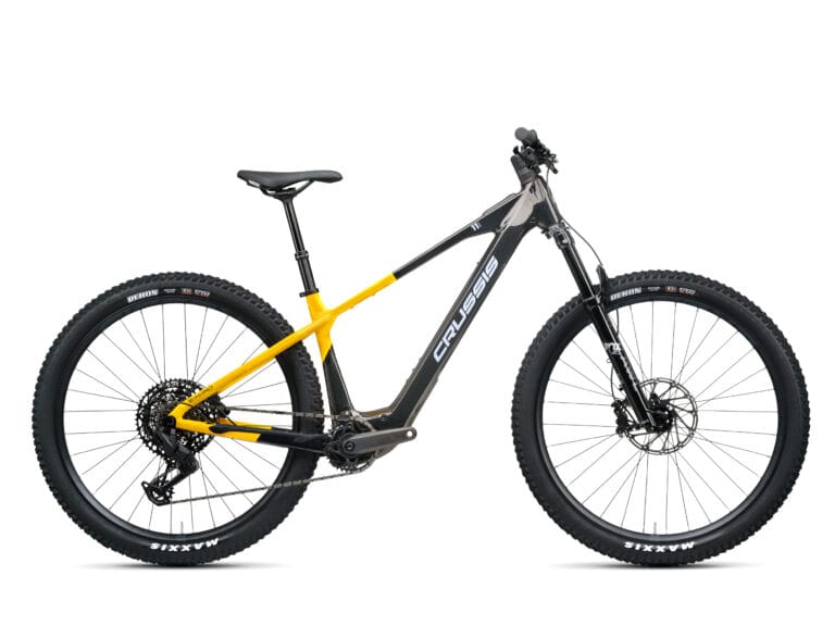 Crissus Elektro-Mountainbike 29" e-Hard 11.11 800Wh