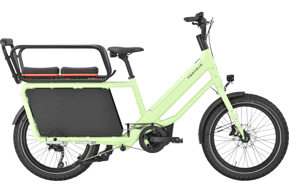 PEGASUS FAMULO Lastenrad/Fahrrad paradise green matte 22"