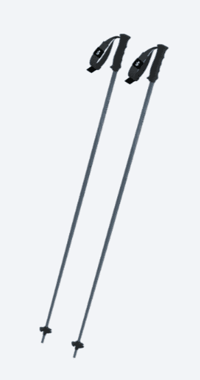 Z31126 THE CURV  Skistock