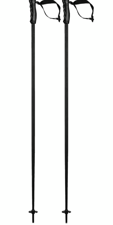 Head Skistock 381856 MULTI black black