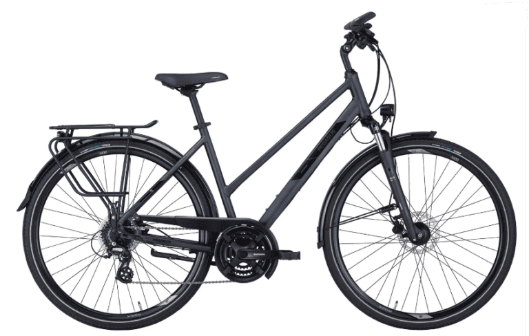 Pegasus 636-27850 Solero SL Disc Da-Trekkingbike
